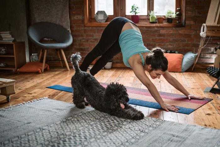 Pet yoga